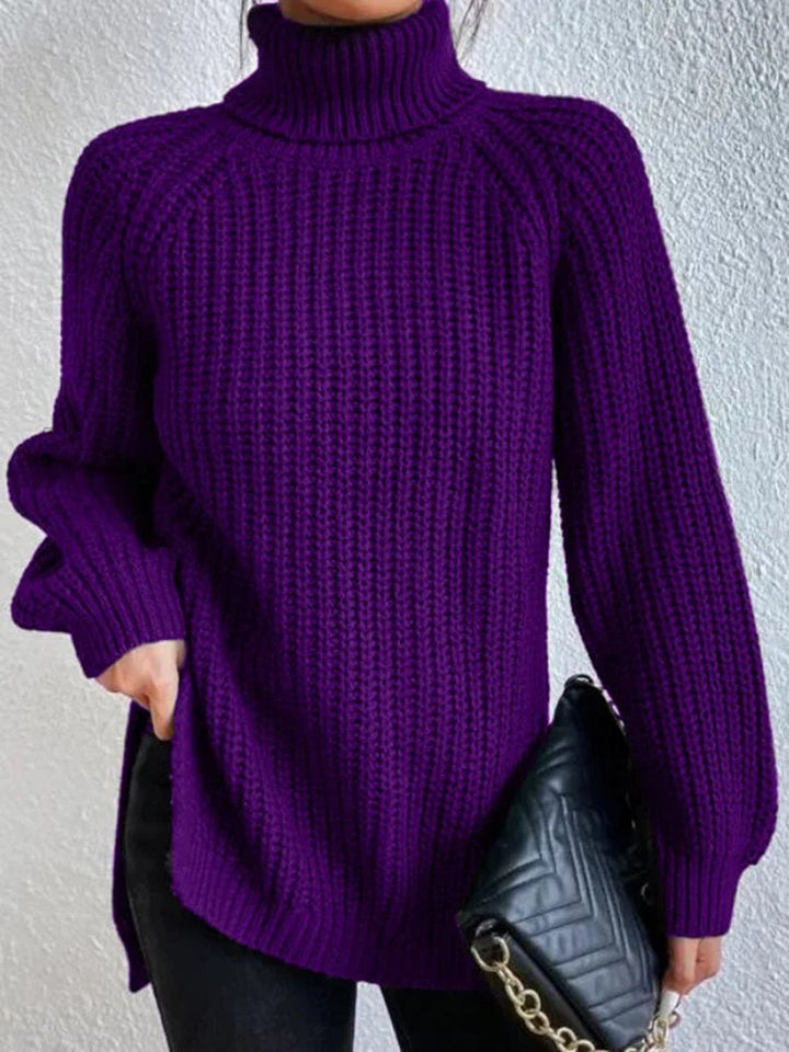 Knit Turtleneck Sweater